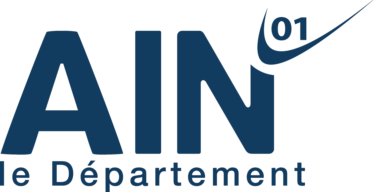 Logo Ain 2018 88341