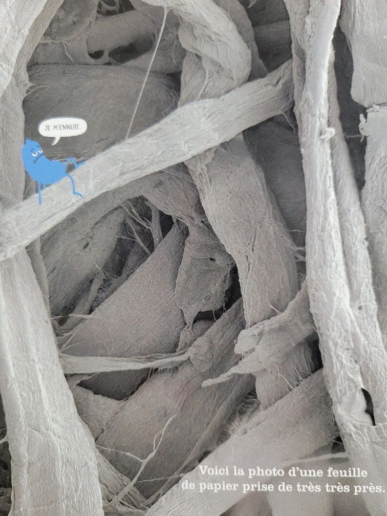 20251217 092039L 47626