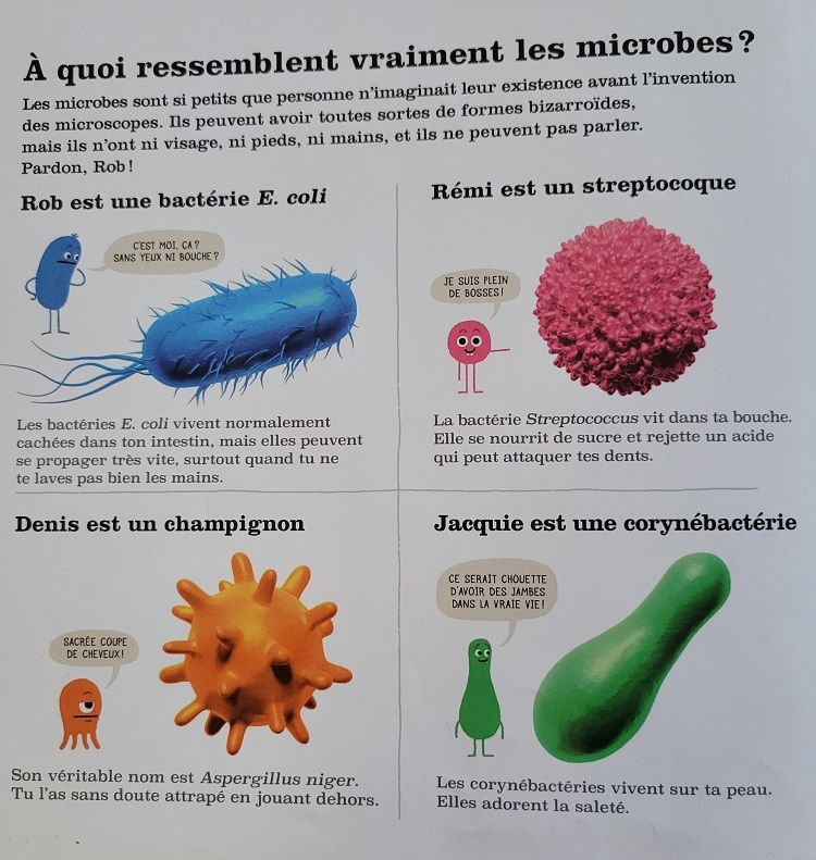 20251217 093550L 87a7c